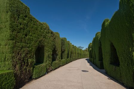 道路,国外,自然风光,植物,灌木,西班牙