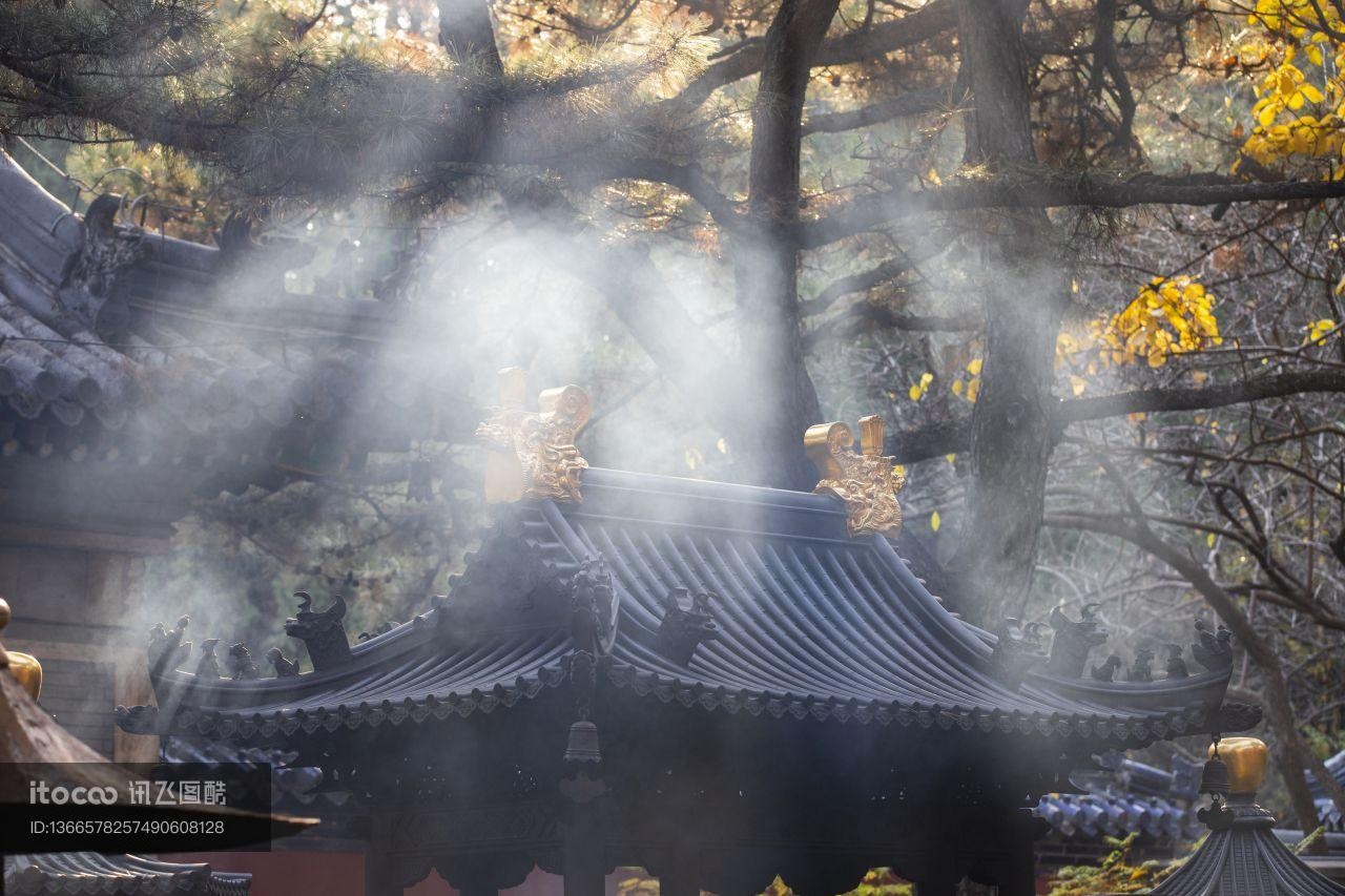 寺庙,宗教文化,树木