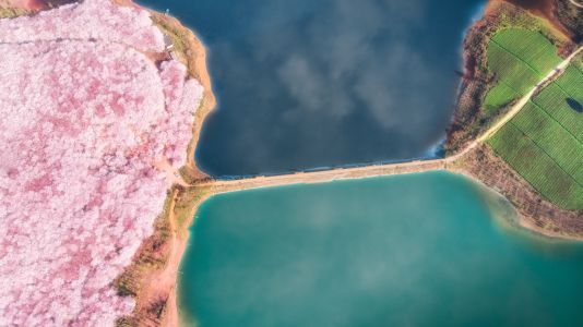 自然风光,航拍,海洋,湖泊,森林,俯瞰,植物,花,树木,道路,建筑