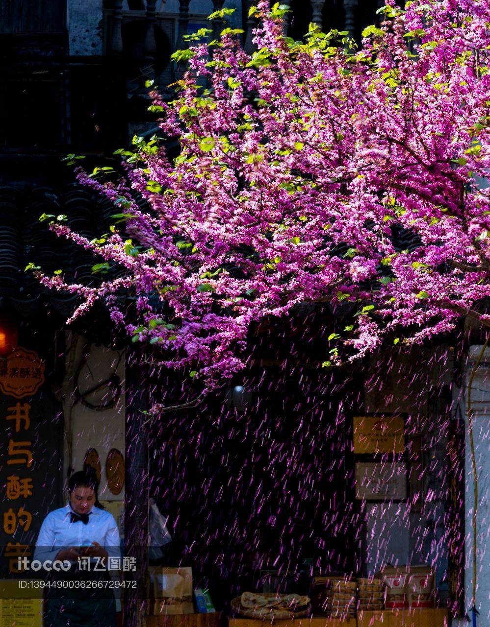 人文古迹,植物,花