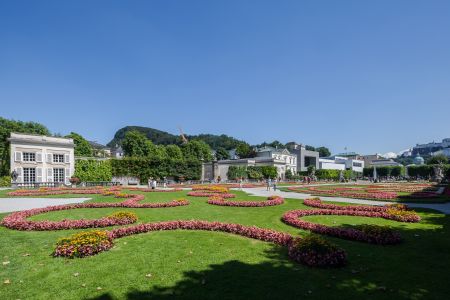 青草,公园,建筑,城镇,植物,花,国外,奥地利