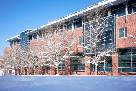 建筑,雪,城镇,植物,树木