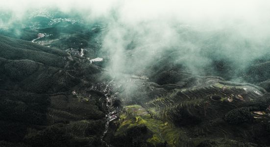 自然风光,山川,雾,航拍,梯田,植物,树木,村镇