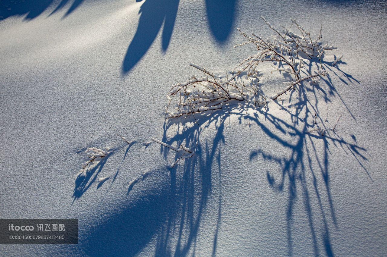 自然风光,雪,特写