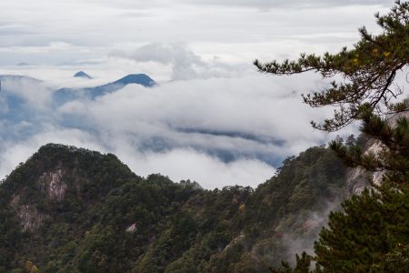 岳西,云雾缭绕,云海,自然风光,中国,安徽,景点,植物,树木