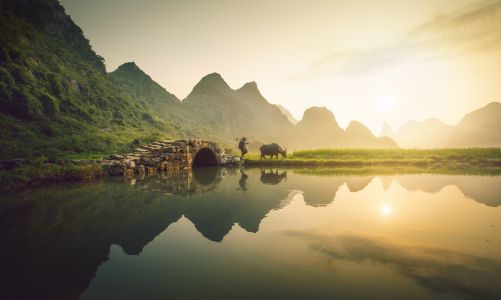 江河,自然风景,老人和牛,自然风光,日落,山峦,植物