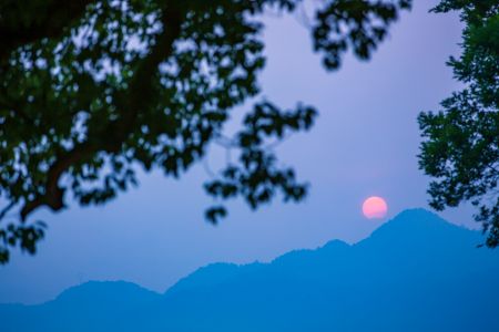 天空,自然风光,特写,植物,树木,日落,山川,太阳
