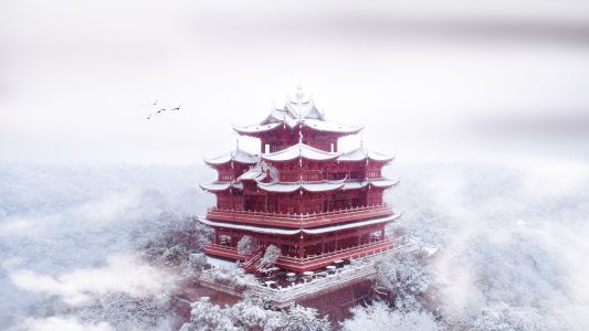 雪,鸟类,城隍阁,建筑,航拍,杭州,城镇,动物,植物,树木