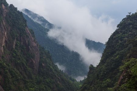 岩石,中国,三清山,云雾,江西,山川,峡谷,天空,植物