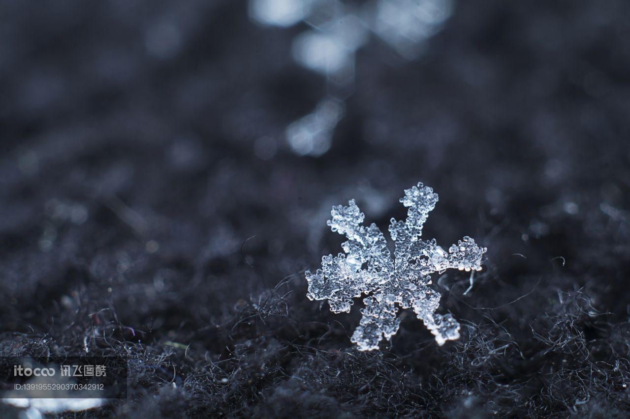 雪花,水晶,湿