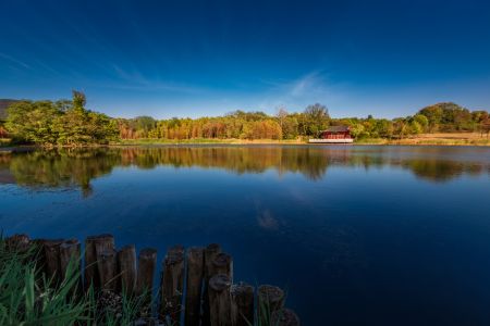 自然风光,湖泊,江河,天空,森林,植物,树木,建筑,白云
