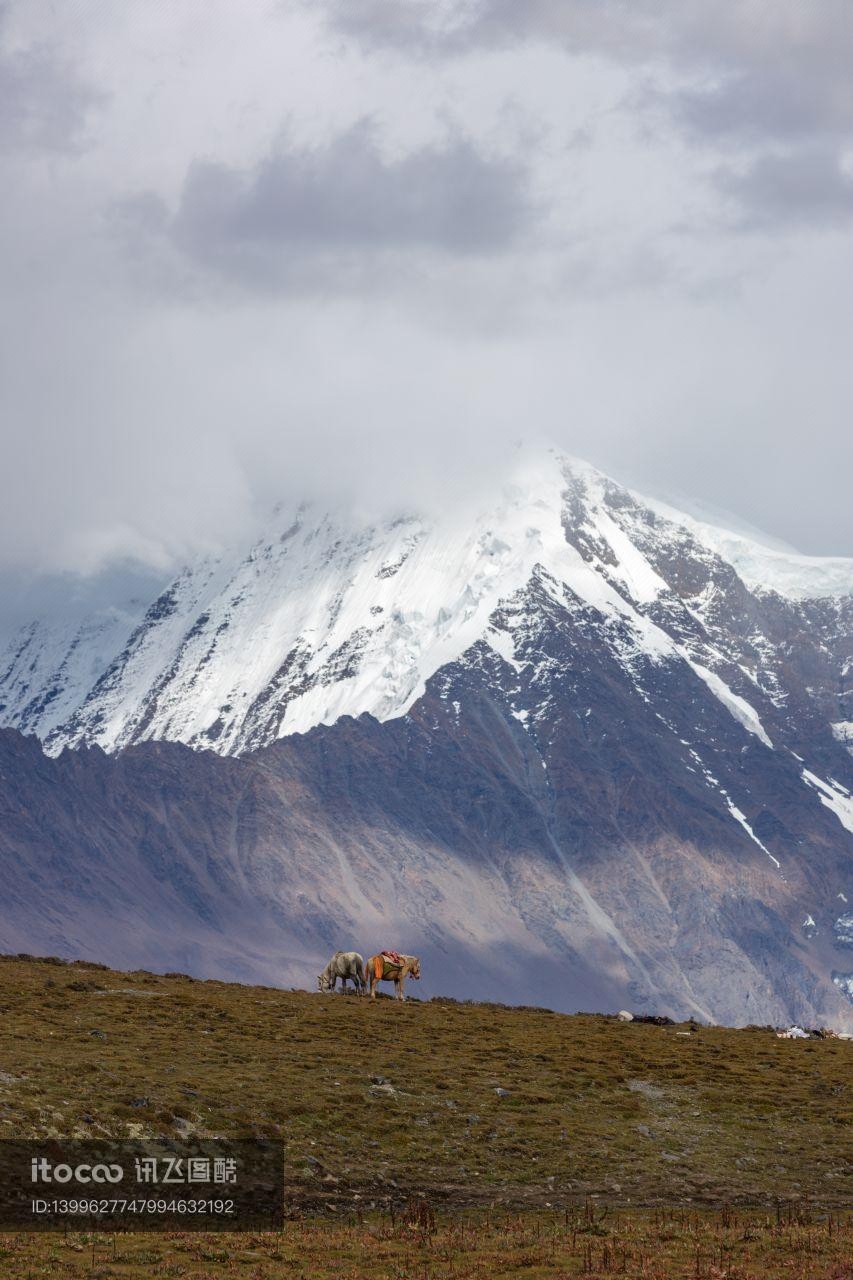 雪山,自然风光,草原