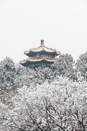 北京,冬天,雪,历史古迹,景点,故宫,植物,树木,建筑,城镇
