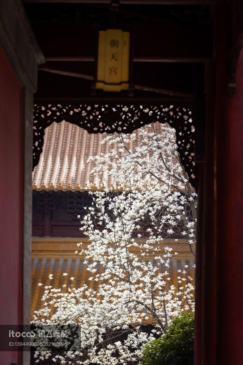 历史古迹,特写,城镇