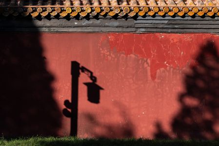 红墙,建筑,特写,影子,路灯,生活工作,中国,树木,传统建筑,城镇,植物