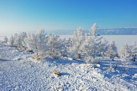 冰雪,雪山,山川,冰川,雪,国外,自然风光,山峦,植物,俄罗斯