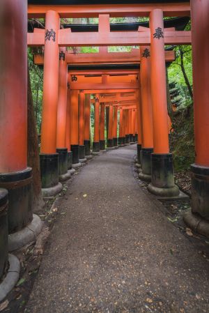 建筑,景点,千本鸟居,传统建筑,中式传统建筑,自然风光,国外,寺塔,现代建筑