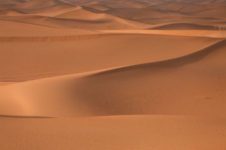 沙漠,自然,自然风光,荒漠