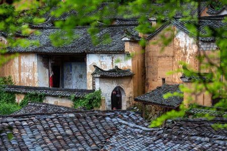 建筑,历史古迹,俯瞰,城镇,村镇,特写,植物,树木