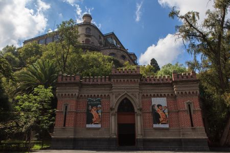 建筑,现代建筑,城镇,墨西哥,植物,国外