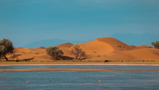 沙漠,自然风光,山川,湖泊