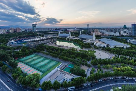 城镇,奥林匹克体育中心,中国,北京,建筑,天空,植物,树木