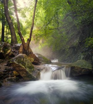 瀑布,自然风光,江河,森林,树木,植物,岩石,天空