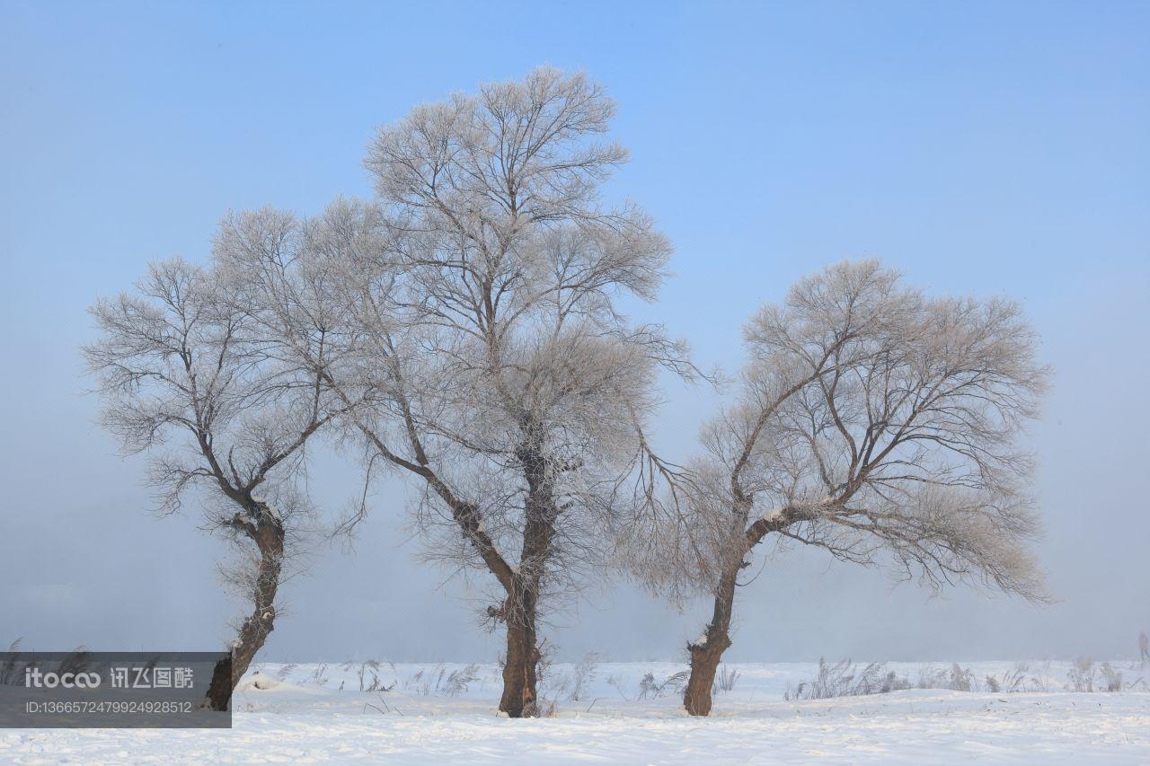 雾凇,冰雪,雾凇岛