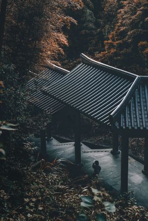 俯瞰,历史古迹,自然风光,城镇,森林,航拍,建筑,植物,树木