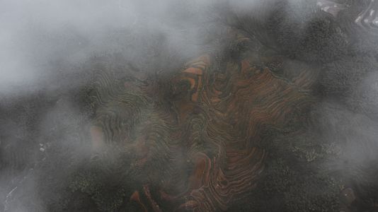自然风光,雾,航拍,梯田,山川,植物,树木