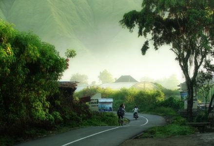 小村晨曦,街道,自然风景,植物,自然风光,清晨,城镇,村镇,骑行的路人,交通工具,自行车,摩托车,树