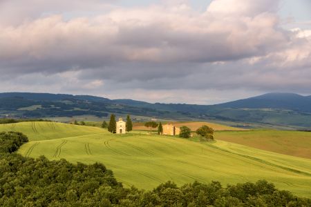 平原,青草,植物,自然风光,草原,天空,白云