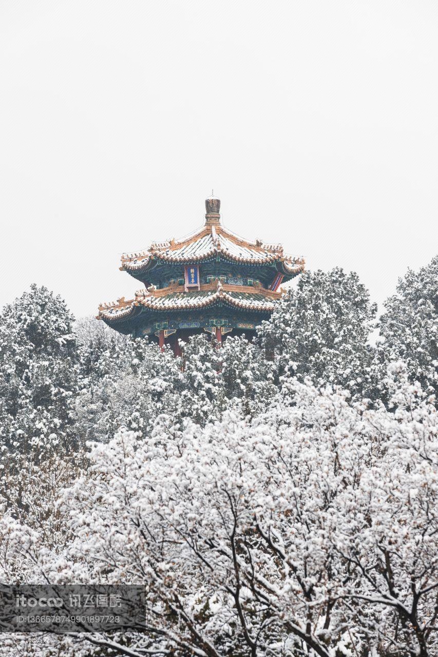 北京,冬天,雪