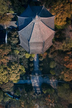 航拍,六和塔,建筑,杭州,钱塘江市,景点,树木,植物