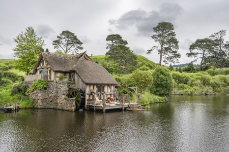 植物,草原,民居,城镇,自然风光,国外,青草,新西兰