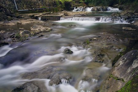 瀑布,江河,岩石,生物,植物,地衣,藤类