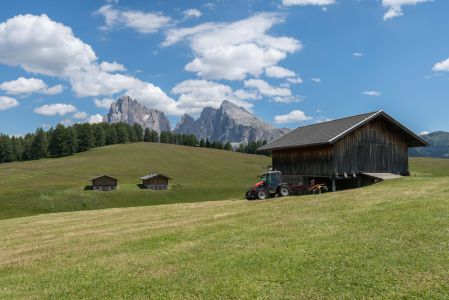 草原,自然风光,山川,白云