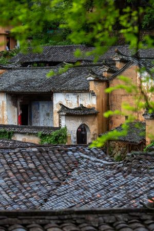 建筑,特写,民居,传统建筑,历史古迹,城镇,航拍,植物,树木