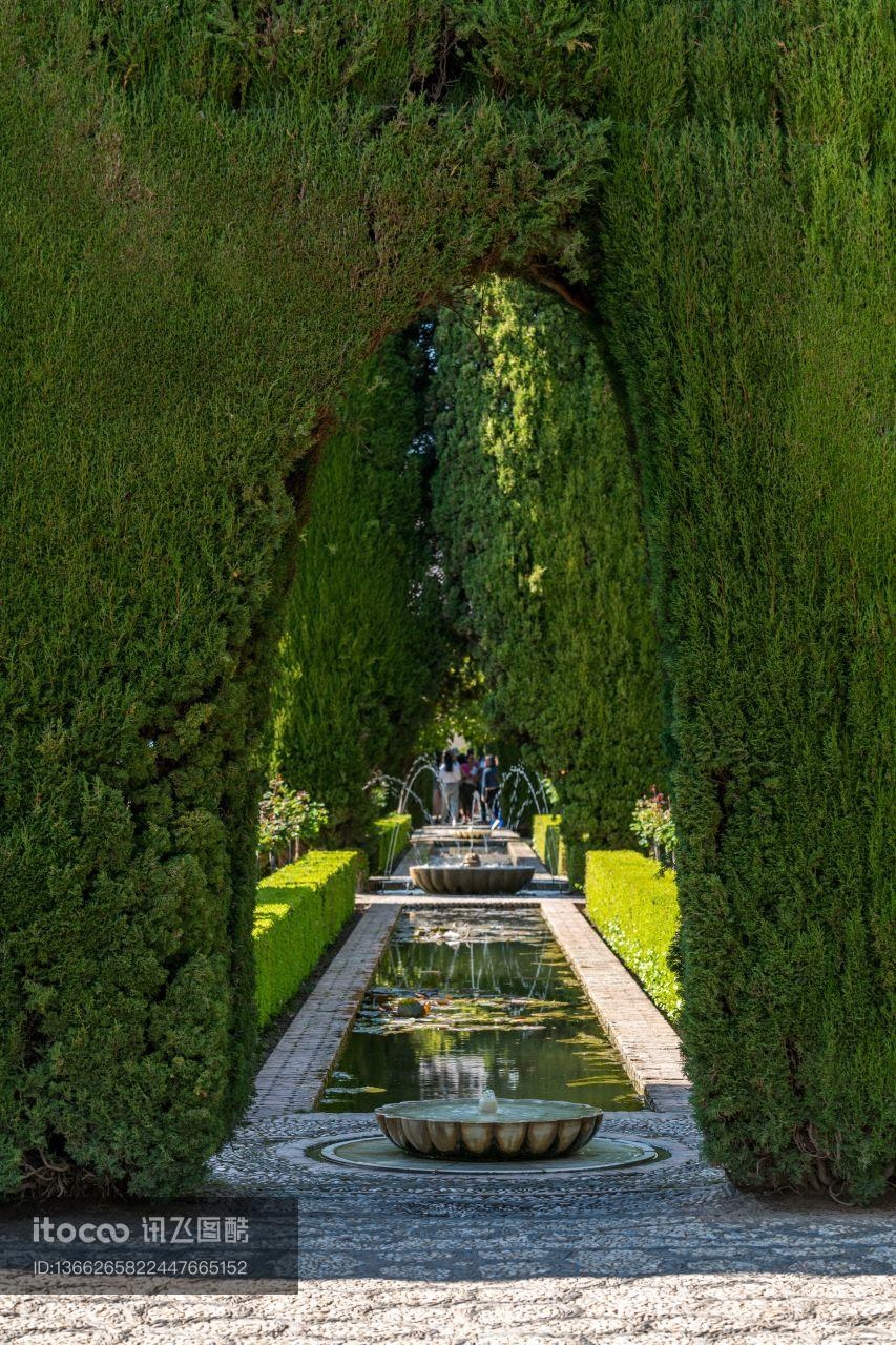 植物园,生态林,自然风光