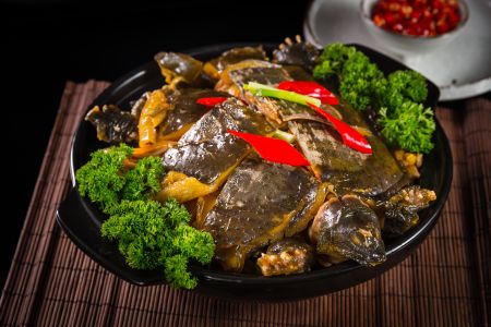 肉类,中餐,甲鱼,美食,厨卫用品,物品,生活用品,碟子,辣椒,碗垫