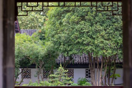 园林景观,建筑,历史古迹,树木,中国,植物,屋檐墙壁
