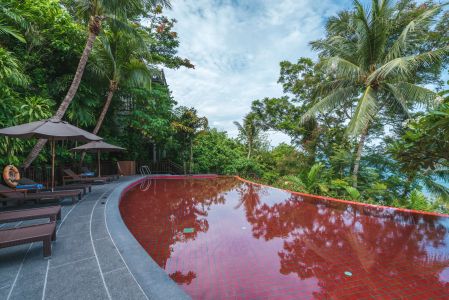 植物,树,风景,生活工作,自然风光