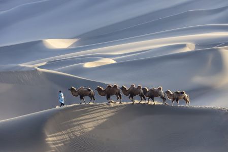自然风光,新疆,沙漠,骆驼,人物活动,驼队,全景,哺乳动物,全身像,环境人像,人像,草原