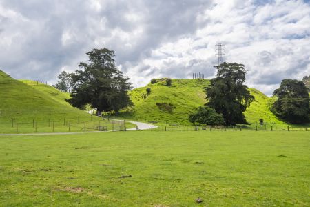 植物,草原,民居,城镇,自然风光,国外,青草,新西兰
