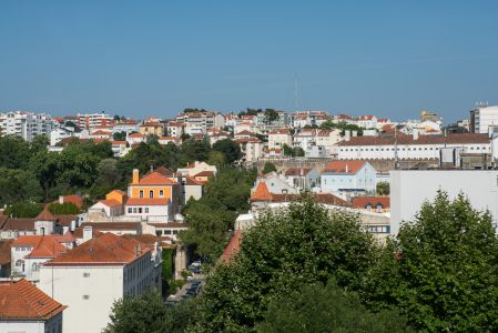建筑,国外,葡萄牙,城镇,植物