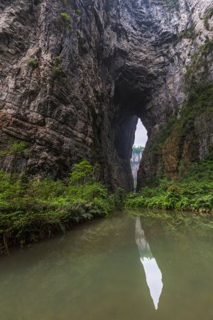 峡谷,中国,重庆,自然风光,江河,植物,青草,地衣,藤类