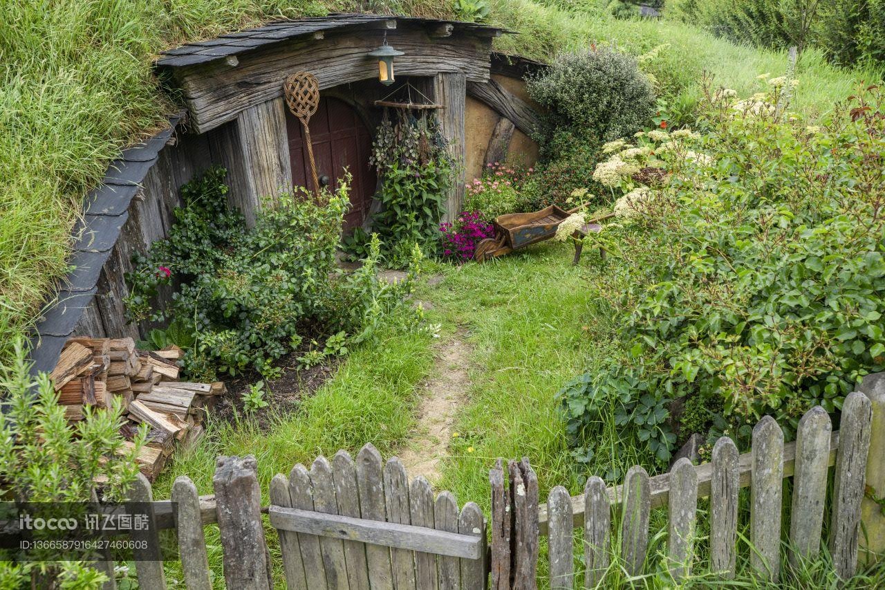 植物,草原,民居