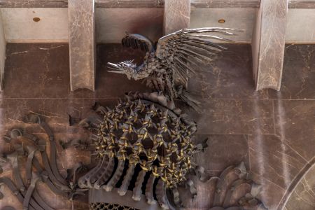 动物,鸟类,物品,工艺品