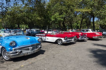 交通工具,汽车,古巴,物品,植物,树木,国外