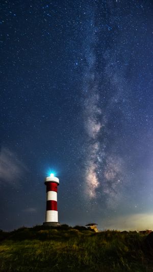 星空,自然风光,草原,夜晚,仰拍,青草,古细菌